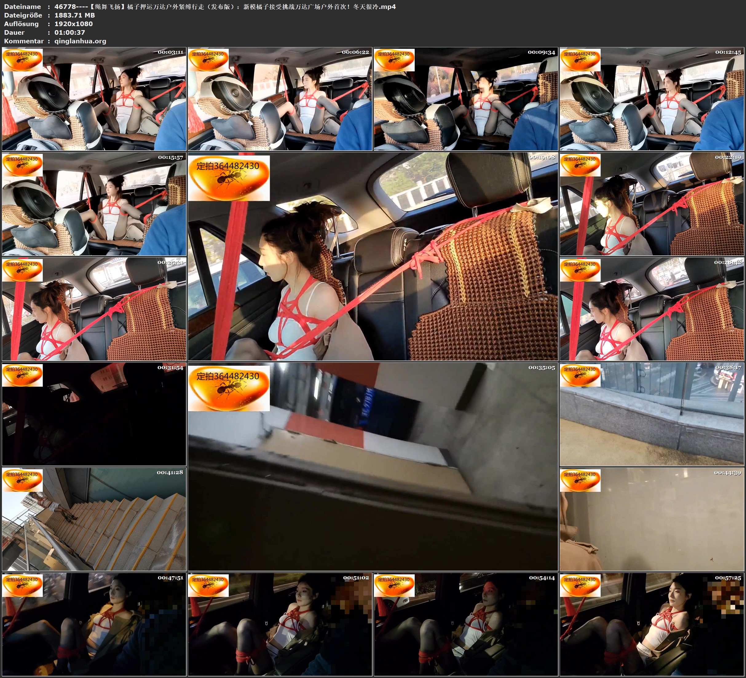 46778----【绳舞飞扬】橘子押运万达户外紧缚行走（发布版）：新模橘子接受挑战万达广.jpg