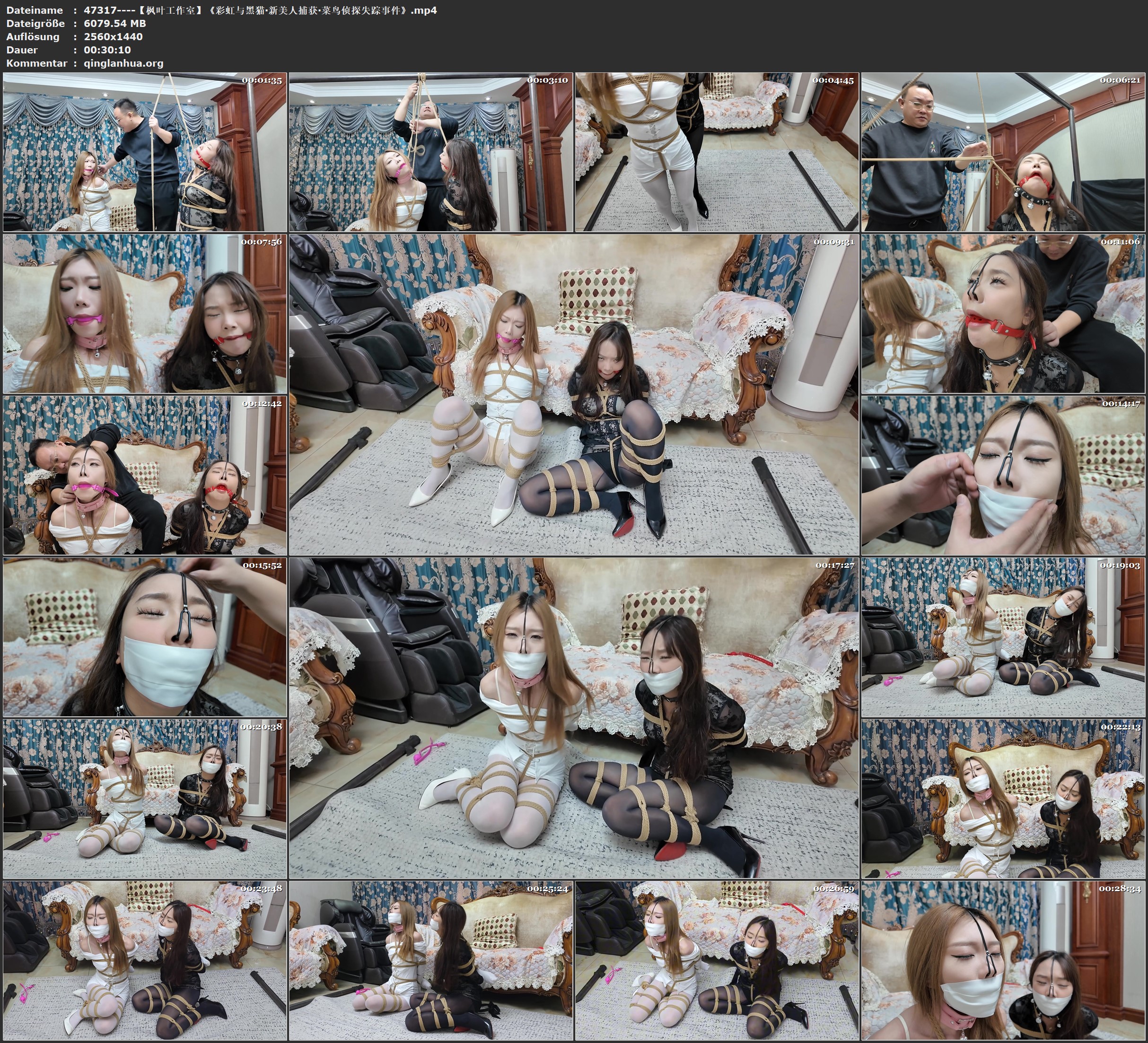 47317----【枫叶工作室】《彩虹与黑猫·新美人捕获·菜鸟侦探失踪事件》.jpg